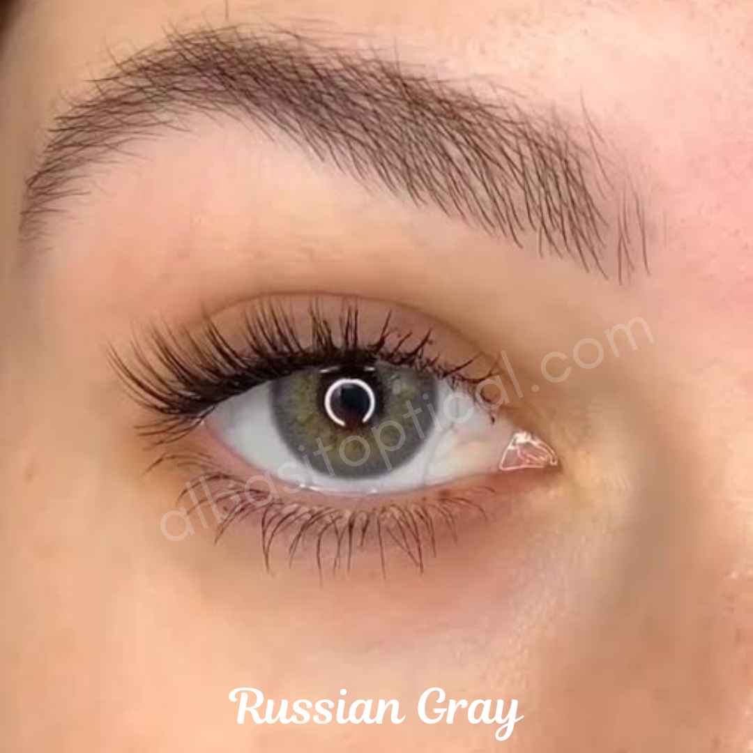 Russian Gray